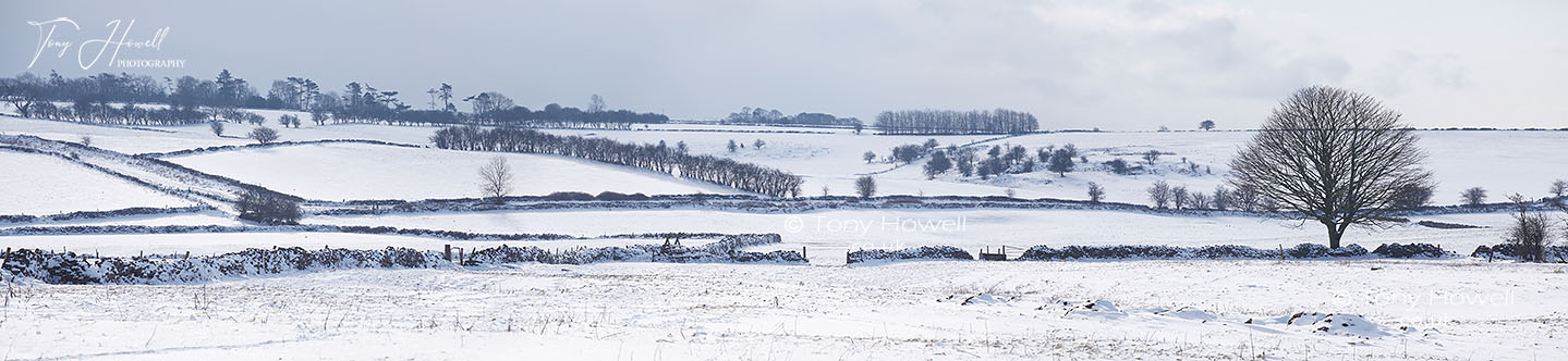 Snow Scene near Priddy