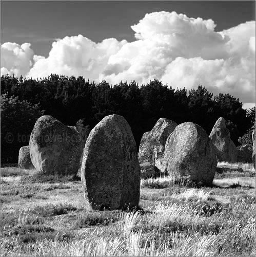 Standing Stones, Carnac, Brittany