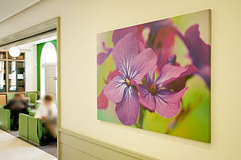 London Clinic canvas